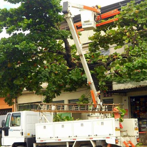 Podas de árvores em redes elétricas